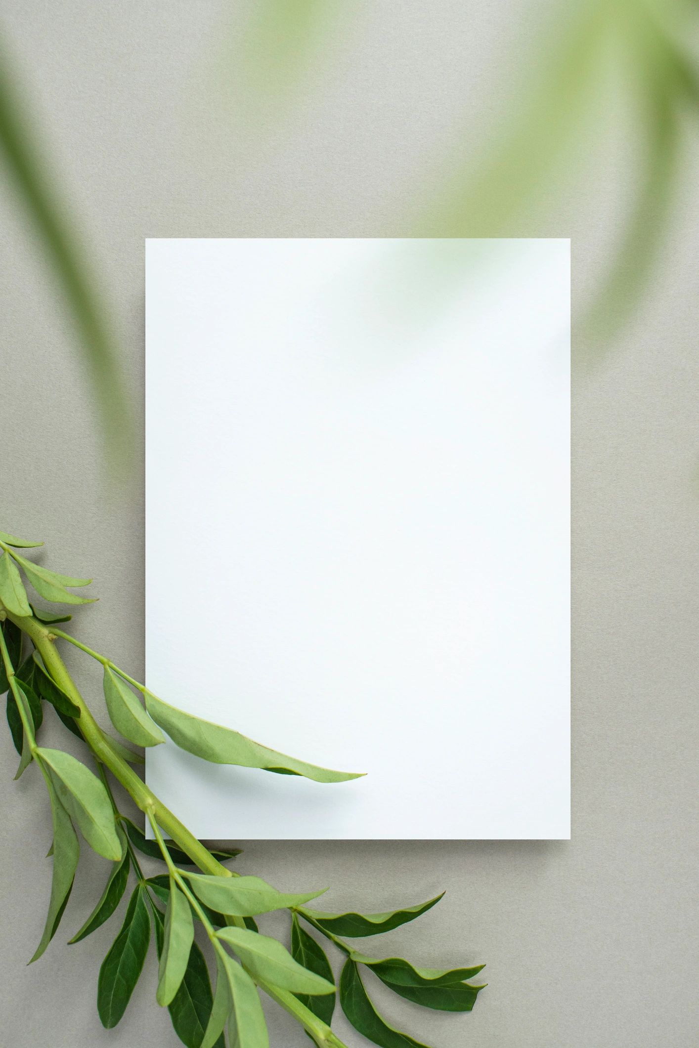 Placeholder book cover mockup with plants and flowers