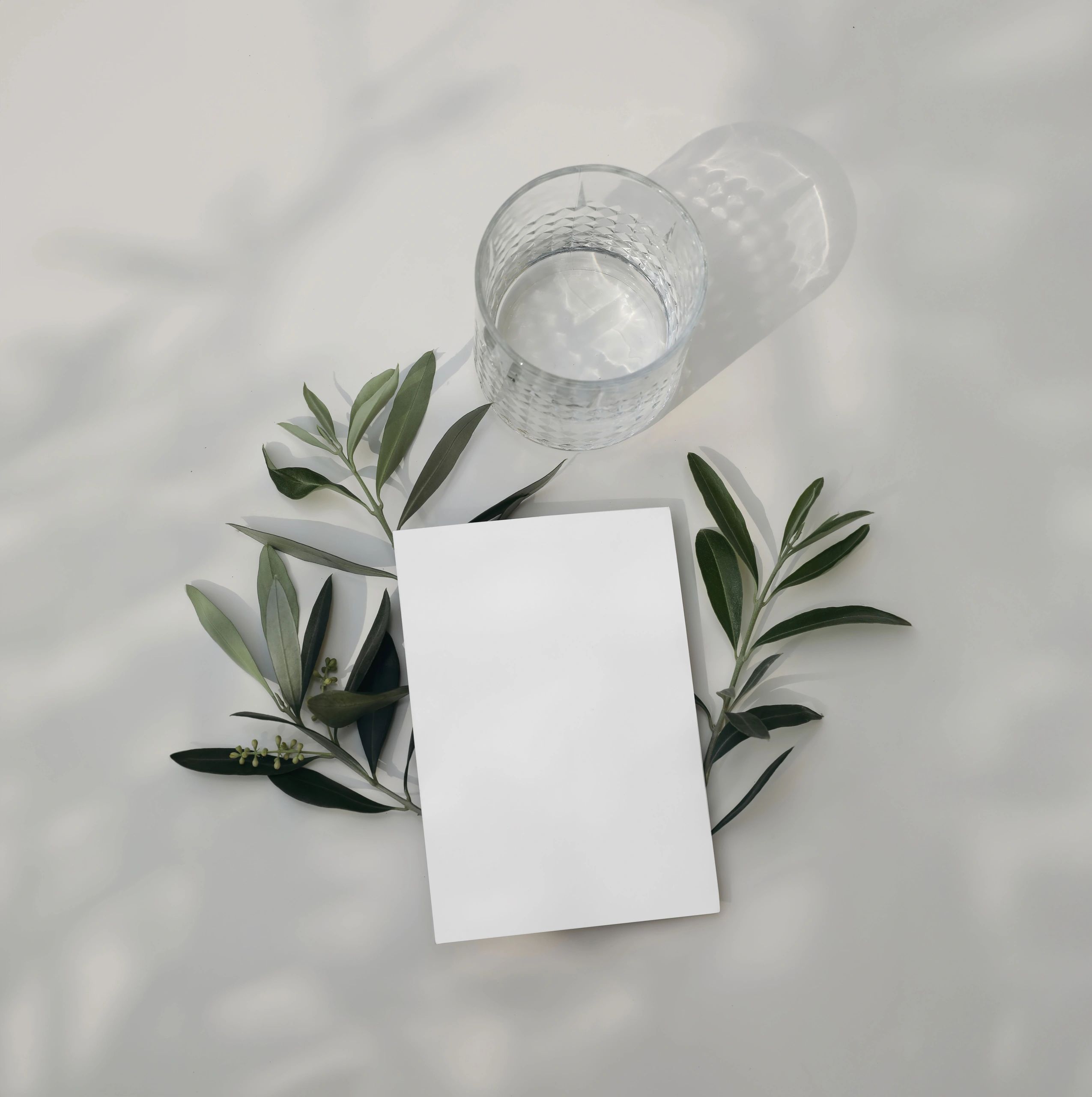 Placeholder book cover mockup with olive branches and soft shadows