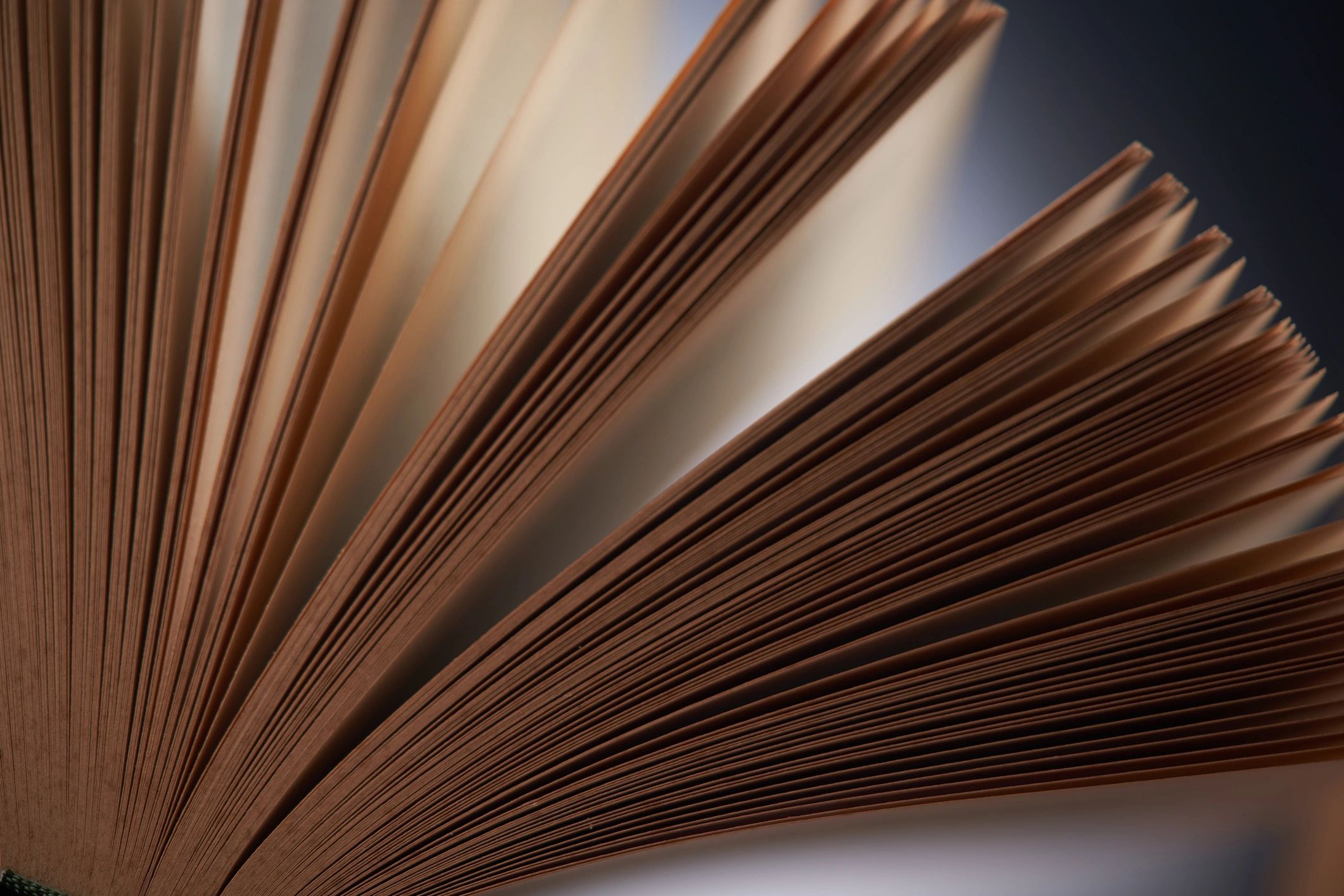 Open book with pages softly lit